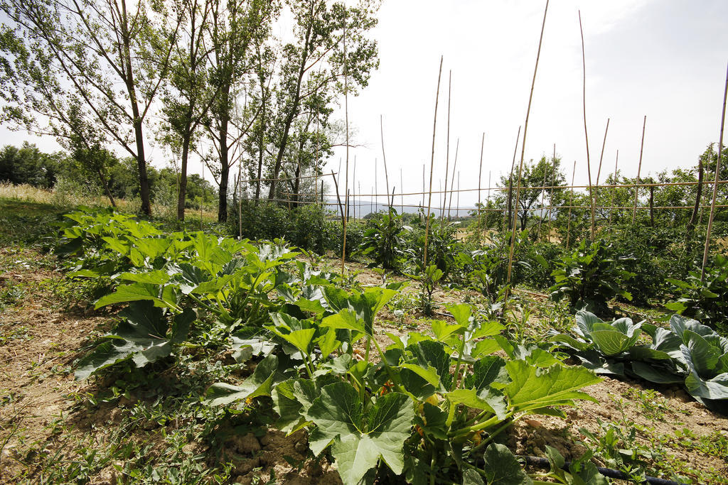 Tenuta La Santissima